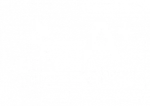A+ on Better Business Bureau
